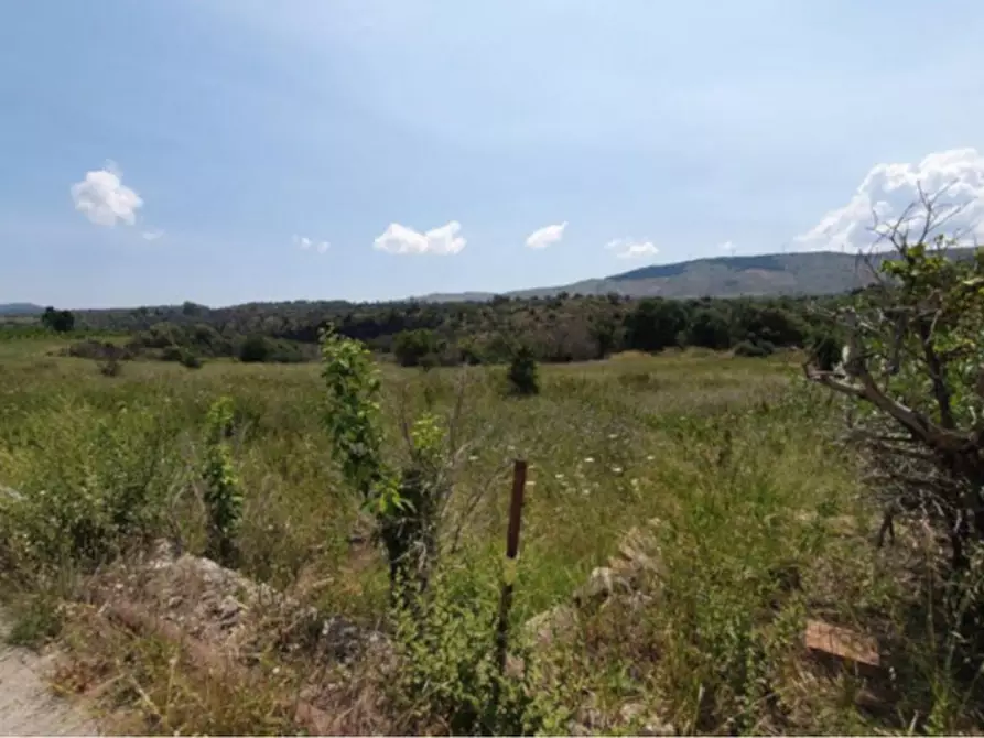 Immagine 1 di Terreno in vendita  in Contrada Valle Caniglia, N. snc a Francofonte