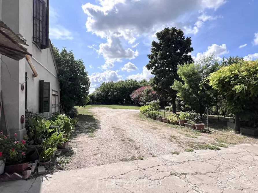 Immagine 3 di Rustico / casale in vendita  in Brugine a Brugine