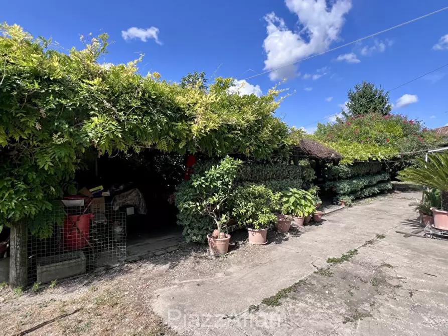 Immagine 4 di Rustico / casale in vendita  in Brugine a Brugine