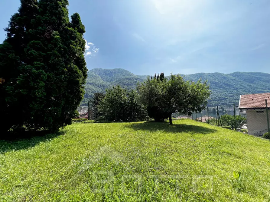 Immagine 32 di Villa in vendita  in via alle quarne 1 a Omegna