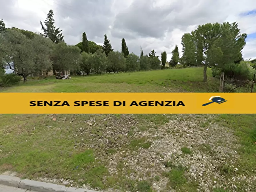 Immagine 1 di Terreno in vendita  in Via Santa Maria Novella ang. Via Degli Olivi a Certaldo