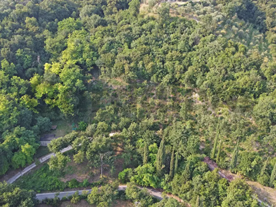 Immagine 6 di Terreno in vendita  in Via Panoramica 60 a Gardone Riviera