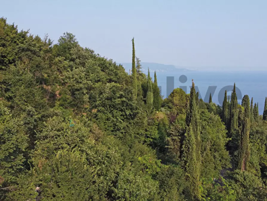 Immagine 22 di Terreno in vendita  in Via Panoramica 60 a Gardone Riviera