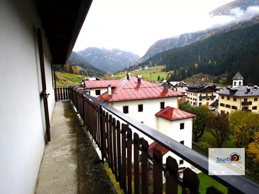 Immagine 3 di Appartamento in vendita  in Via San Pietro a San Pietro Di Cadore