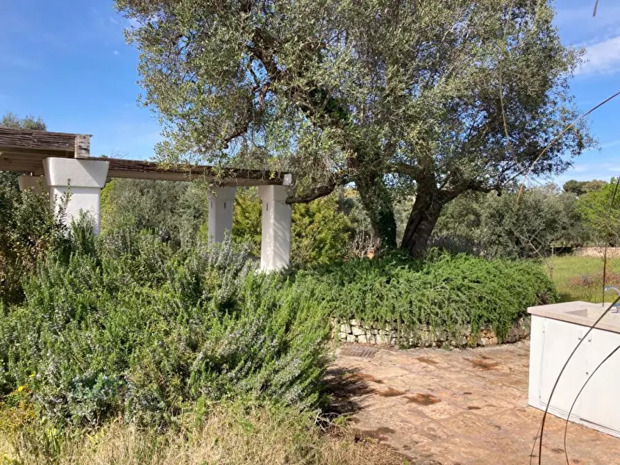 Immagine 69 di Rustico / casale in vendita  in Contrada Grieco a Ostuni