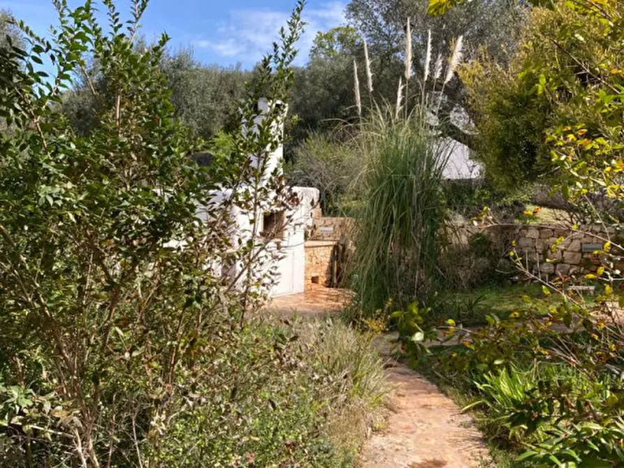 Immagine 72 di Rustico / casale in vendita  in Contrada Grieco a Ostuni
