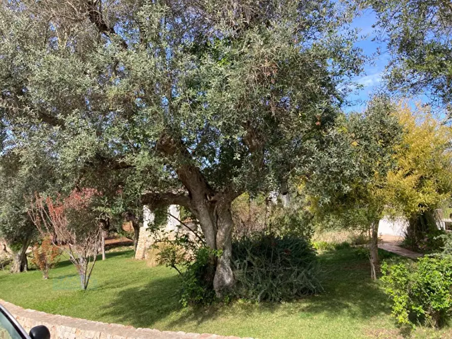 Immagine 73 di Rustico / casale in vendita  in Contrada Grieco a Ostuni
