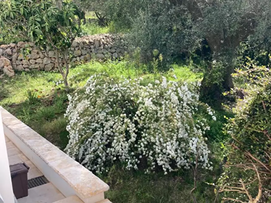 Immagine 76 di Rustico / casale in vendita  in Contrada Grieco a Ostuni