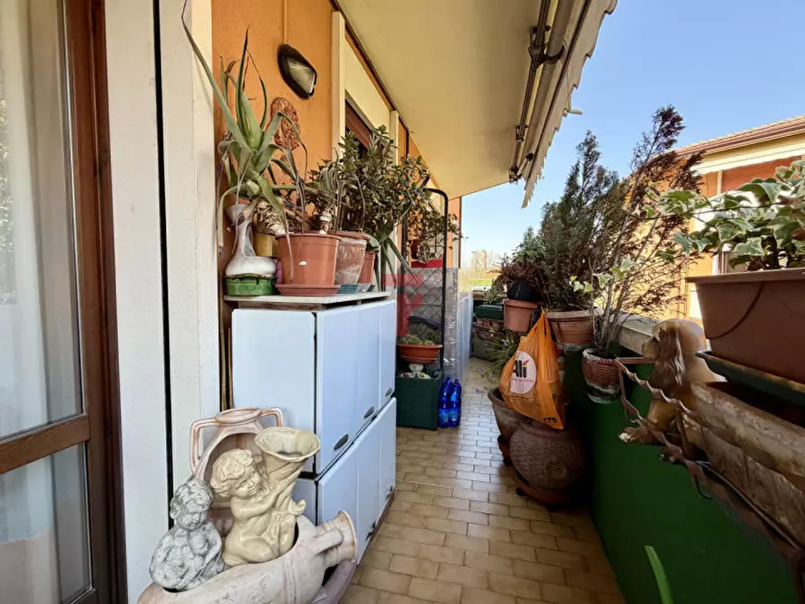 Immagine 8 di Appartamento in vendita  in Via Colonnello Piccio a Padova