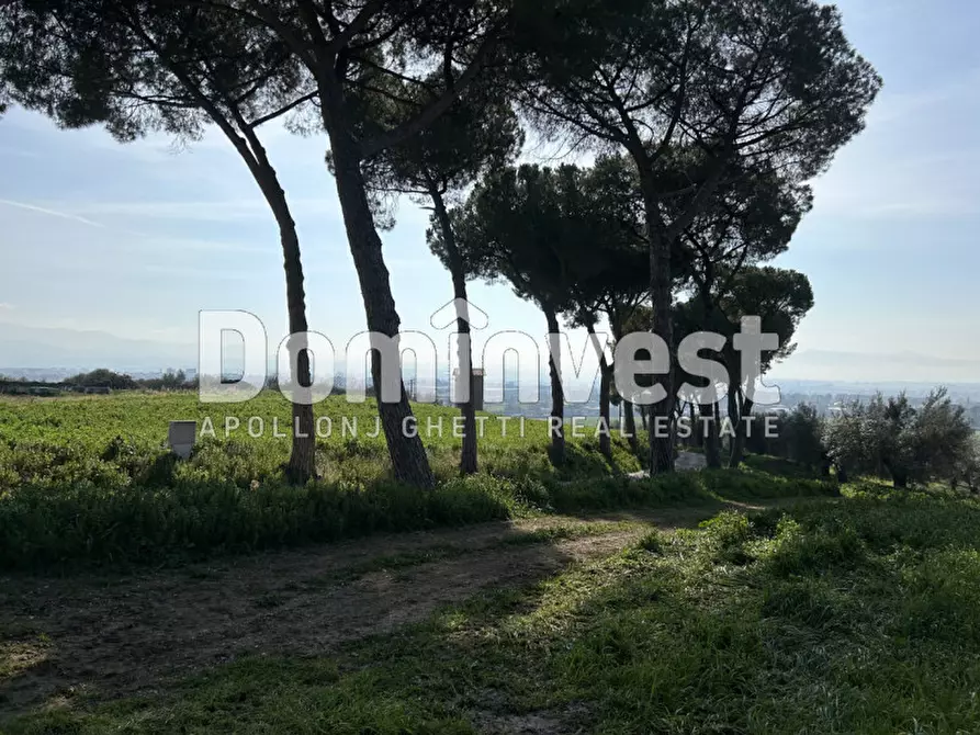 Immagine 3 di Terreno in vendita  in Via Tiburtina Valeria a Guidonia Montecelio