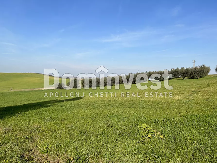 Immagine 7 di Terreno in vendita  in Via Tiburtina Valeria a Guidonia Montecelio