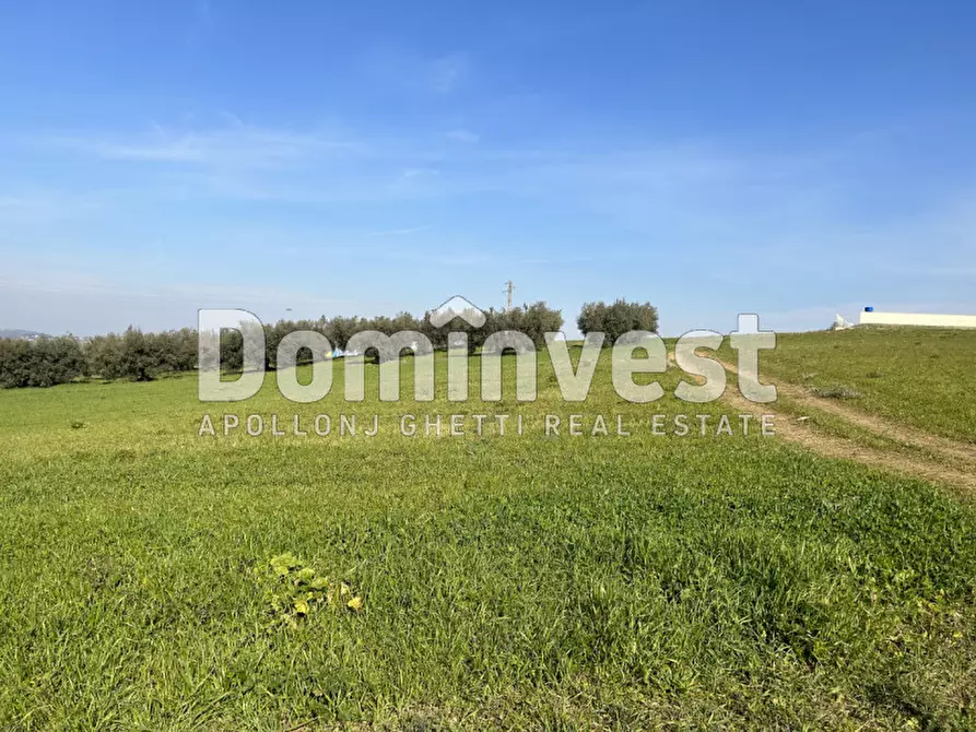 Immagine 9 di Terreno in vendita  in Via Tiburtina Valeria a Guidonia Montecelio