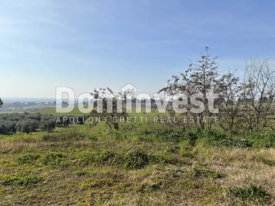Immagine 10 di Terreno in vendita  in Via Tiburtina Valeria a Guidonia Montecelio