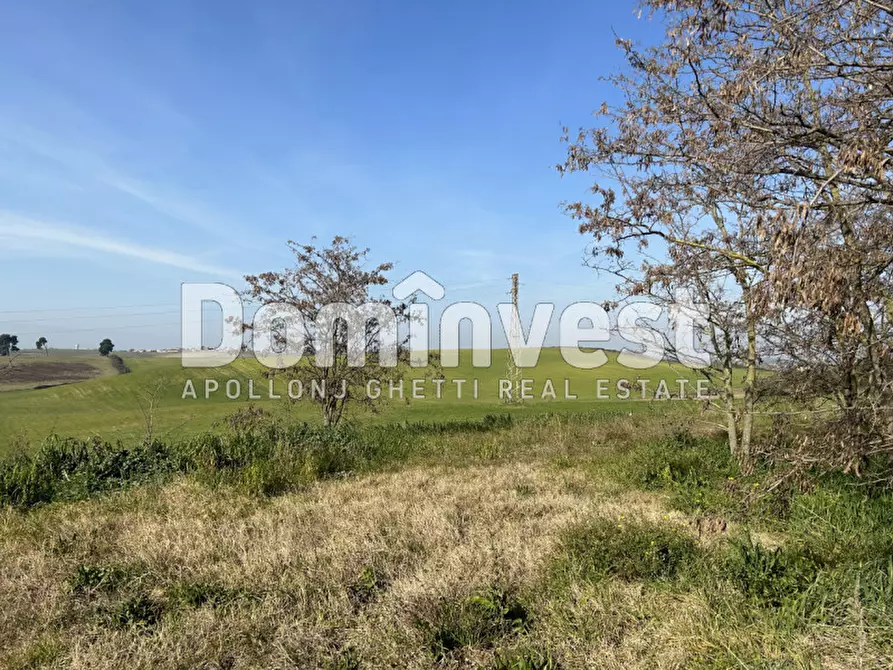 Immagine 11 di Terreno in vendita  in Via Tiburtina Valeria a Guidonia Montecelio