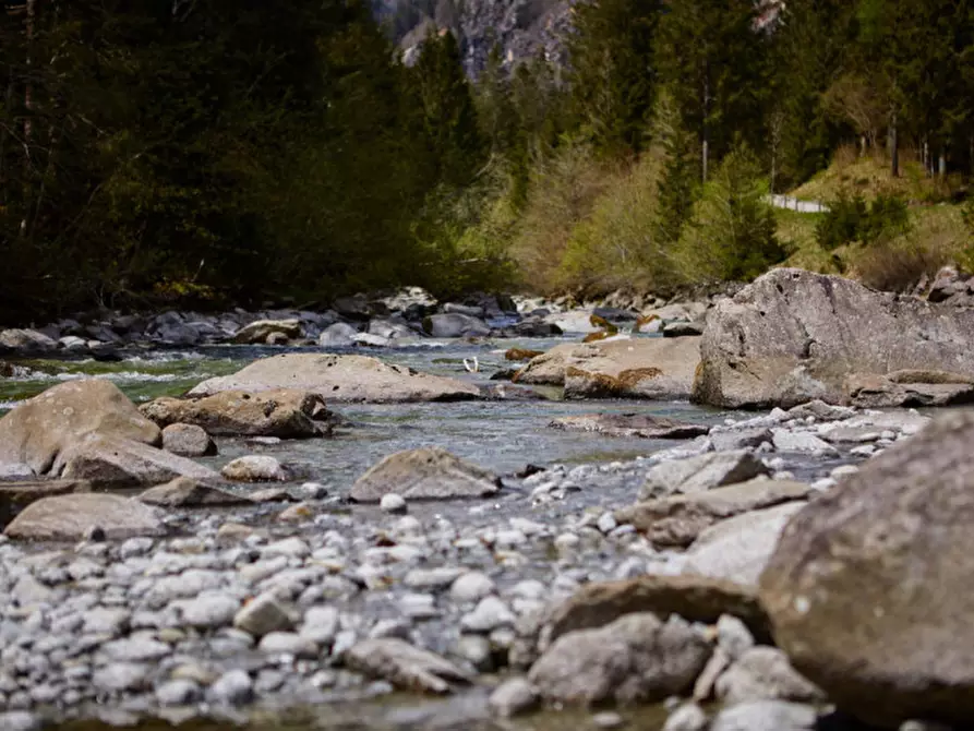 Immagine 2 di Hotel in vendita  a Pinzolo
