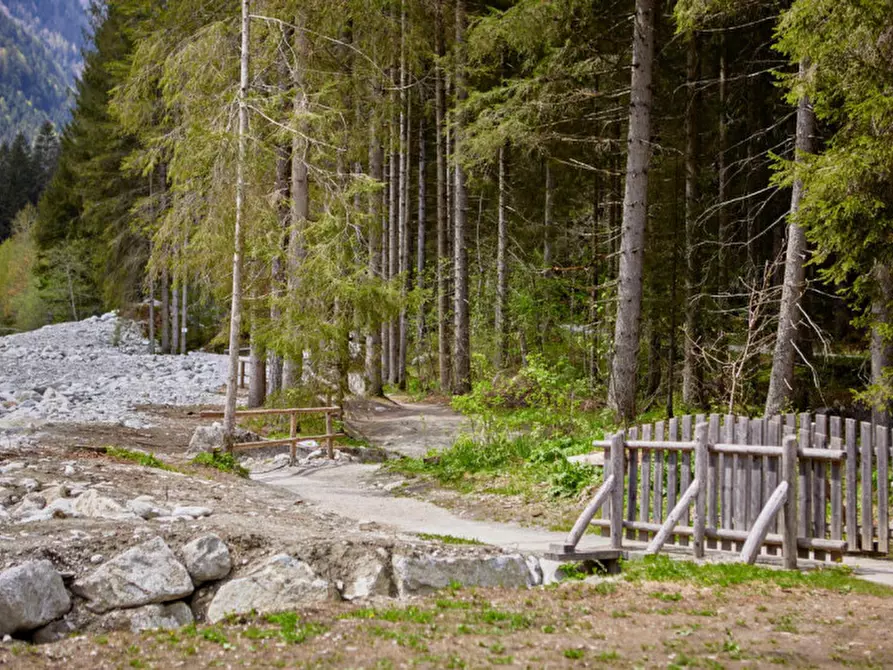 Immagine 3 di Hotel in vendita  a Pinzolo