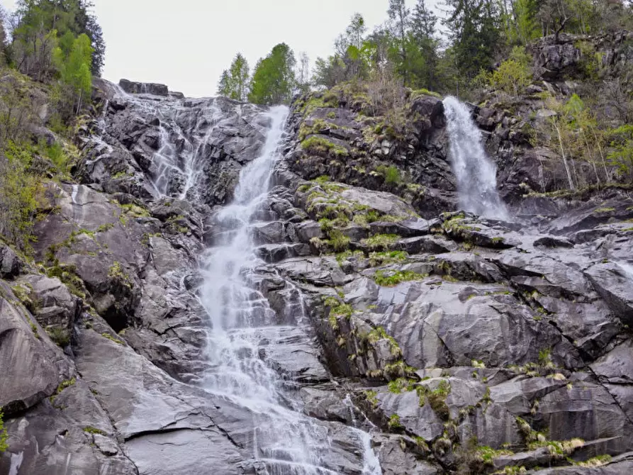 Immagine 5 di Hotel in vendita  a Pinzolo