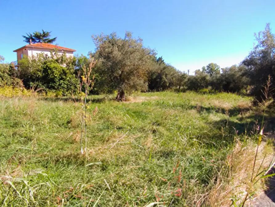 Immagine 4 di Terreno in vendita  in via di valle Romana a Passignano Sul Trasimeno