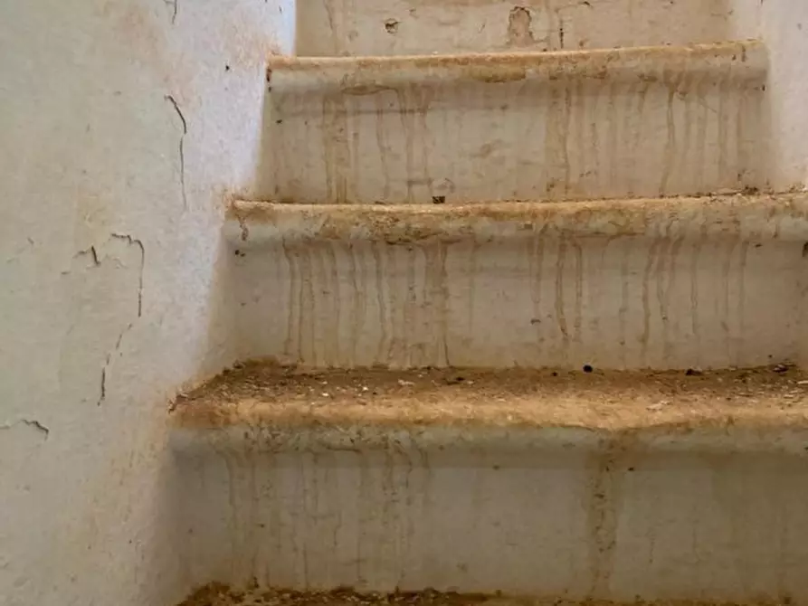 Immagine 3 di Rustico / casale in vendita  in Contrada Lamia Nuova a Ceglie Messapico