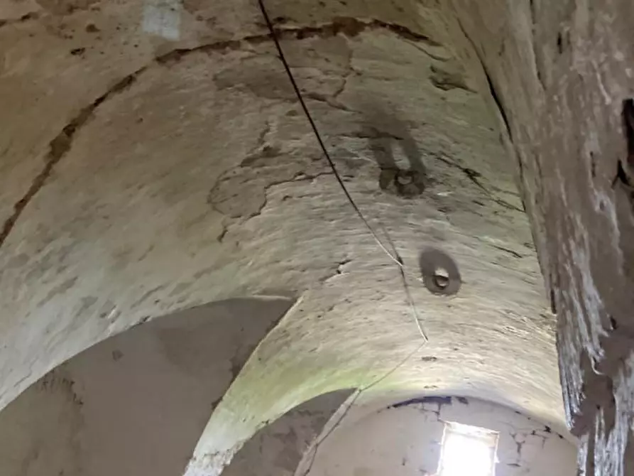 Immagine 5 di Rustico / casale in vendita  in Contrada Lamia Nuova a Ceglie Messapico