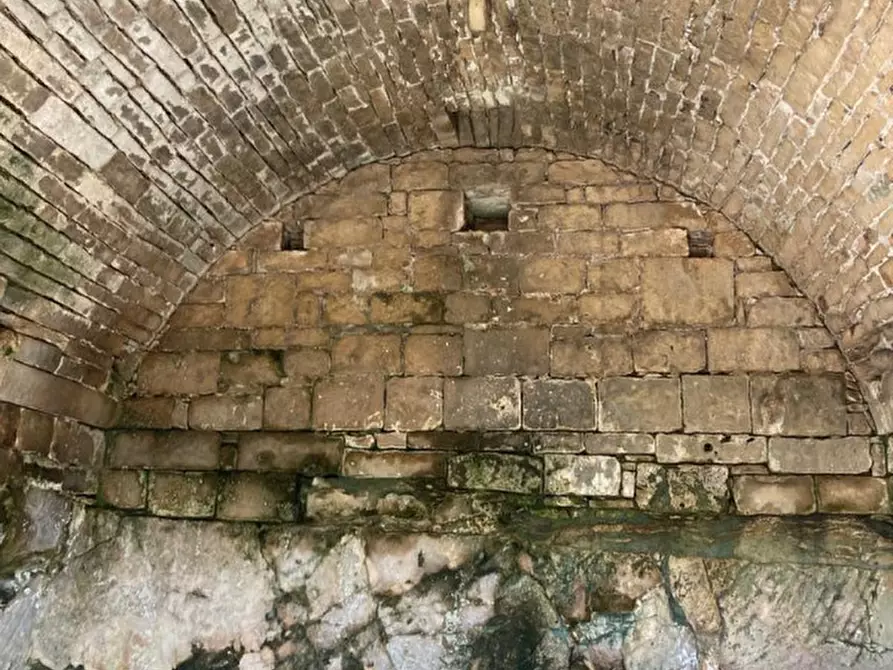 Immagine 9 di Rustico / casale in vendita  in Contrada Lamia Nuova a Ceglie Messapico