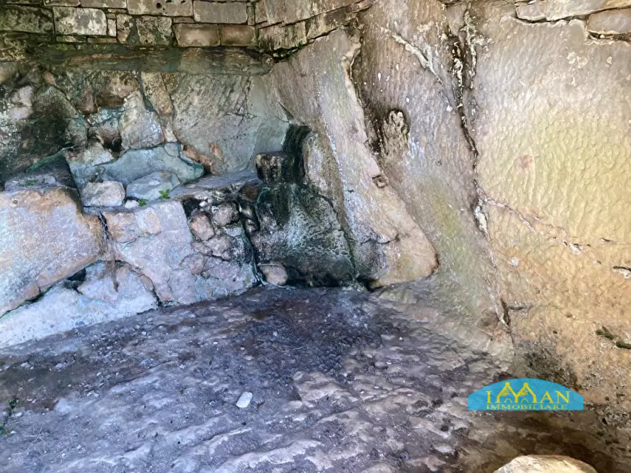 Immagine 10 di Rustico / casale in vendita  in Contrada Lamia Nuova a Ceglie Messapico