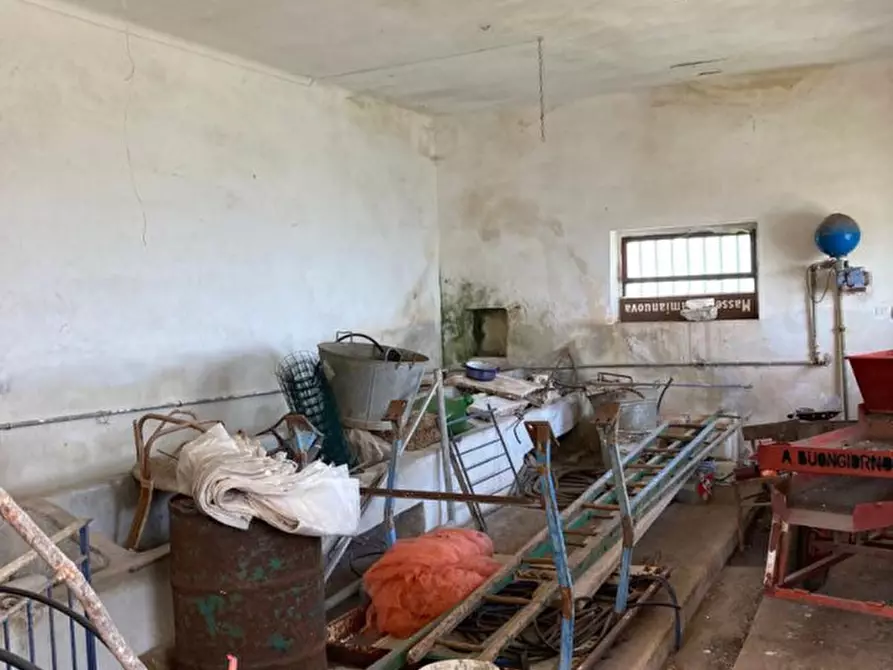 Immagine 13 di Rustico / casale in vendita  in Contrada Lamia Nuova a Ceglie Messapico