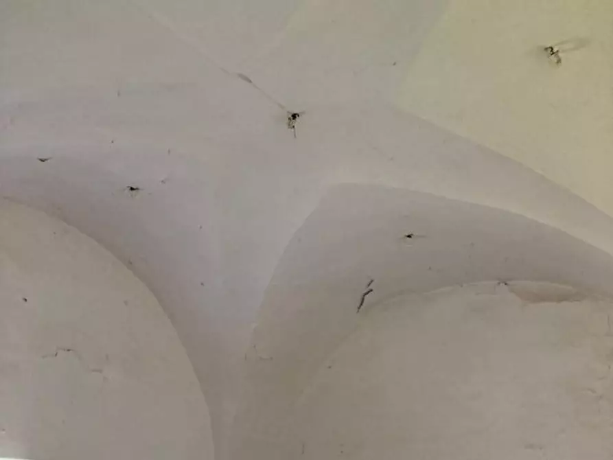 Immagine 39 di Rustico / casale in vendita  in Contrada Lamia Nuova a Ceglie Messapico