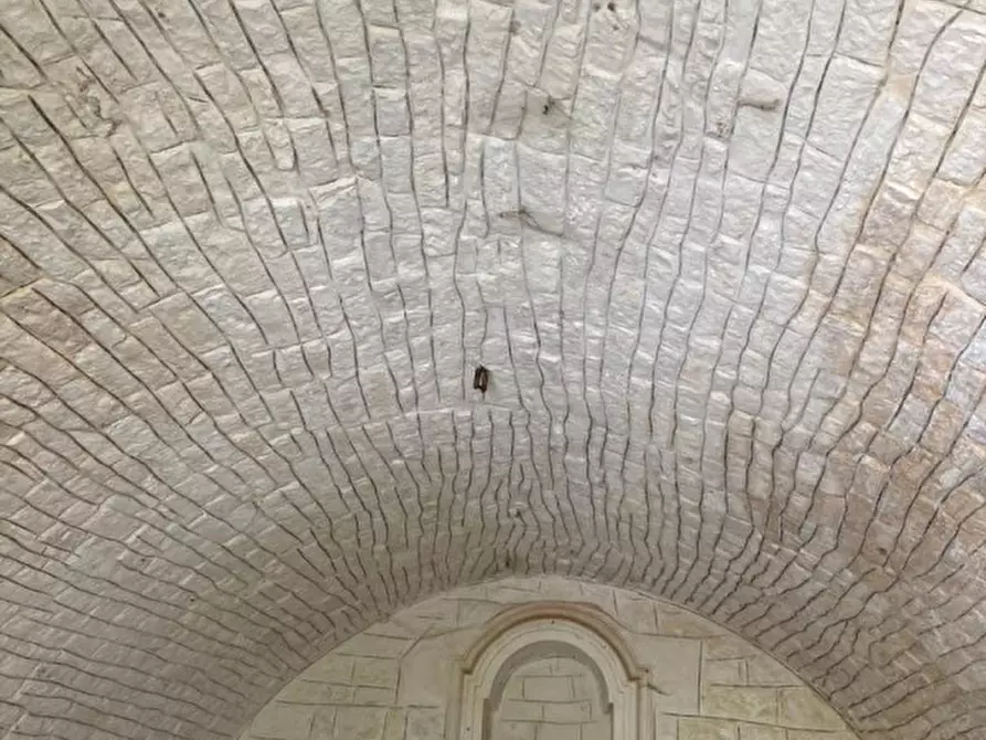 Immagine 50 di Rustico / casale in vendita  in Contrada Lamia Nuova a Ceglie Messapico