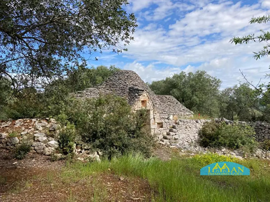 Immagine 58 di Rustico / casale in vendita  in Contrada Lamia Nuova a Ceglie Messapico