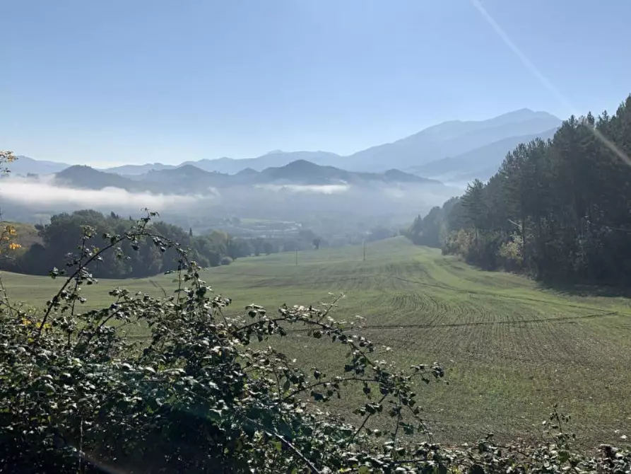 Immagine 3 di Terreno in vendita  in Strada Monte Peruzzo - vocabolo Cà Pierotto, N. snc a Cagli