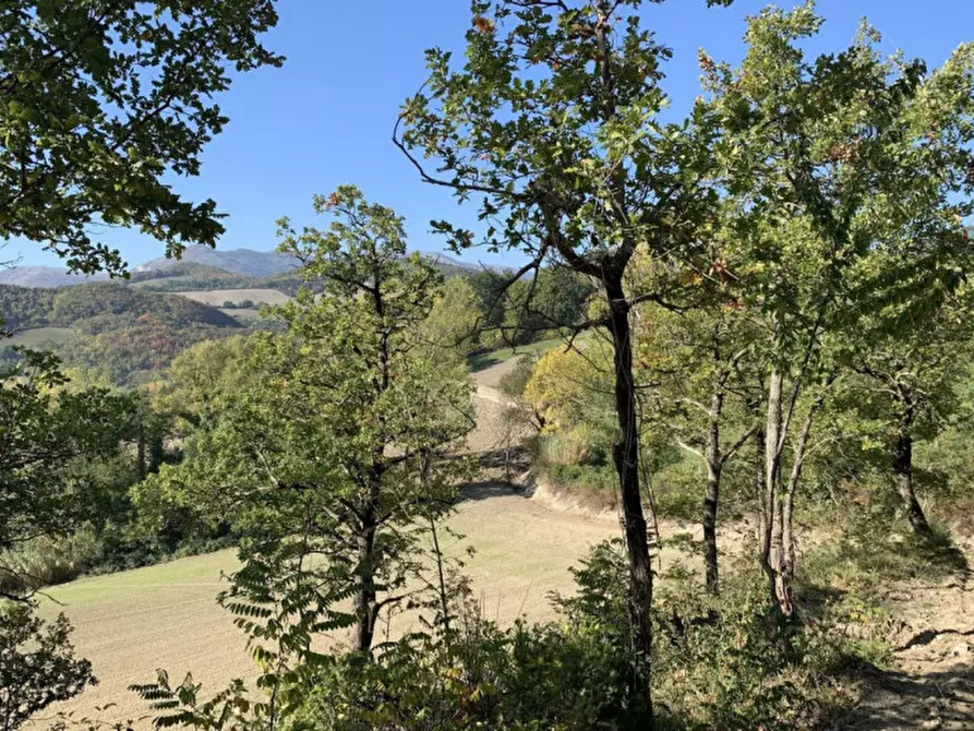 Immagine 4 di Terreno in vendita  in Strada Monte Peruzzo - vocabolo Cà Pierotto, N. snc a Cagli