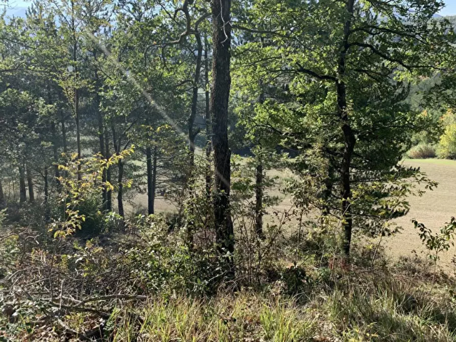 Immagine 5 di Terreno in vendita  in Strada Monte Peruzzo - vocabolo Cà Pierotto, N. snc a Cagli