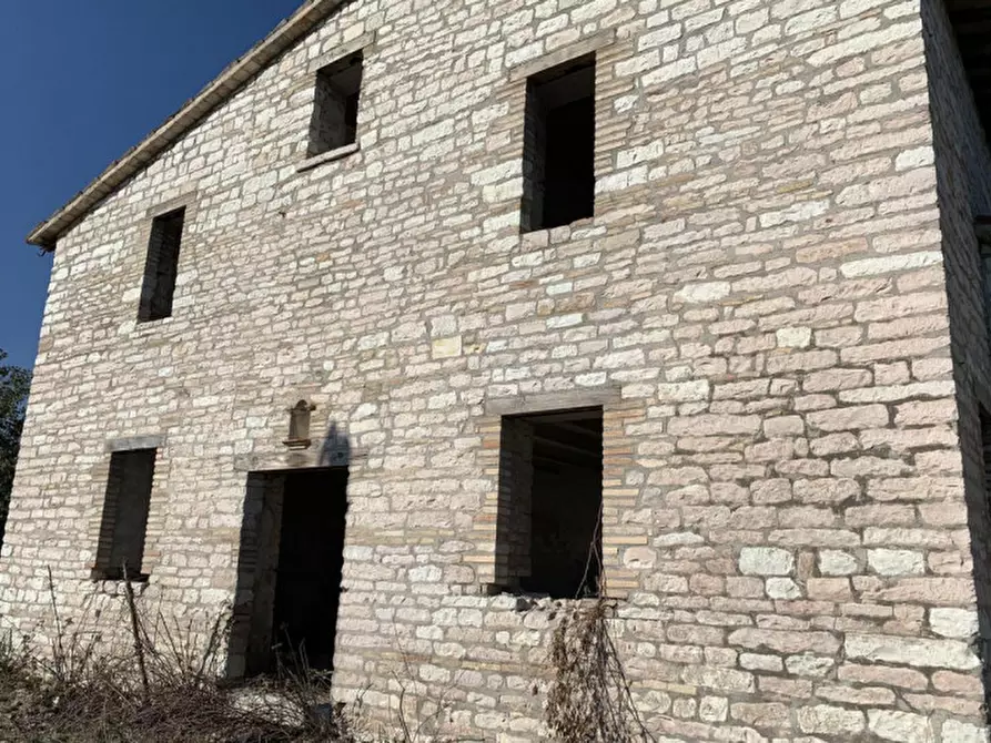 Immagine 6 di Terreno in vendita  in Strada Monte Peruzzo - vocabolo Cà Pierotto, N. snc a Cagli