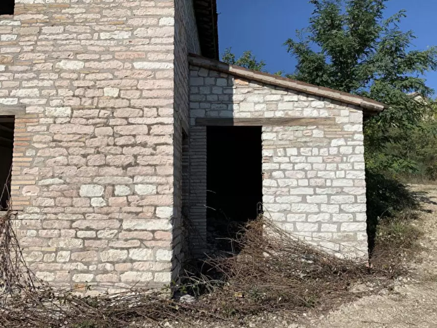 Immagine 7 di Terreno in vendita  in Strada Monte Peruzzo - vocabolo Cà Pierotto, N. snc a Cagli