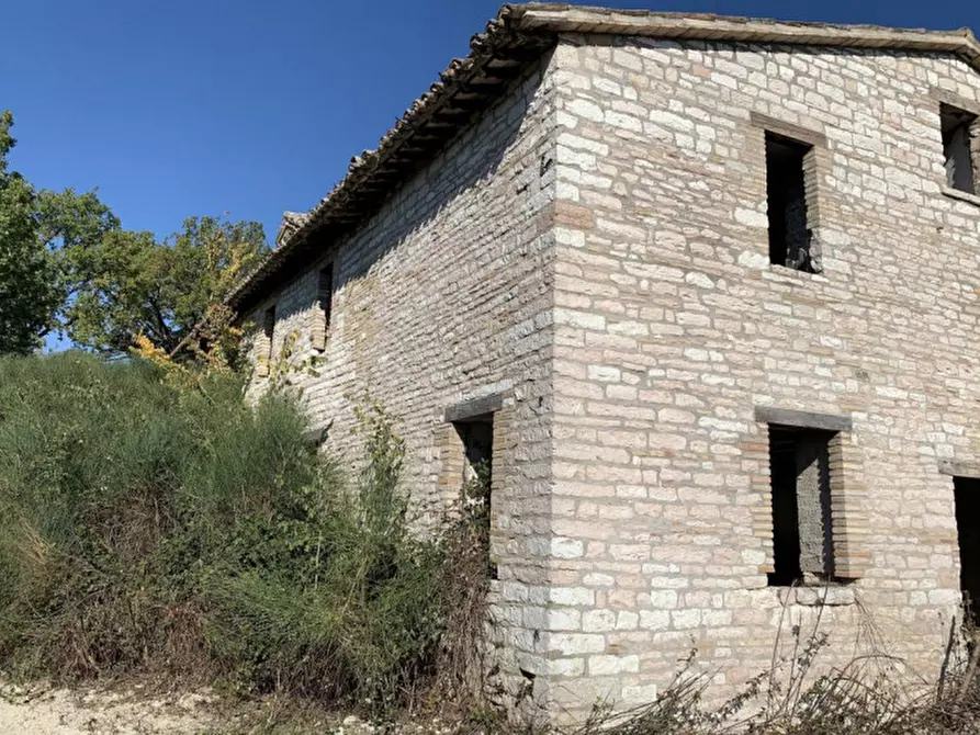 Immagine 8 di Terreno in vendita  in Strada Monte Peruzzo - vocabolo Cà Pierotto, N. snc a Cagli