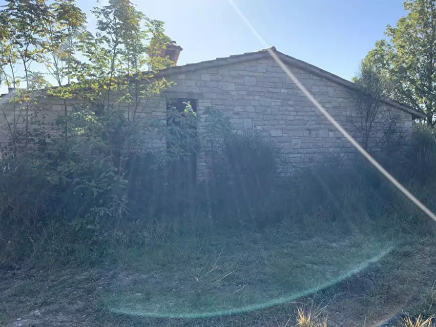 Immagine 9 di Terreno in vendita  in Strada Monte Peruzzo - vocabolo Cà Pierotto, N. snc a Cagli