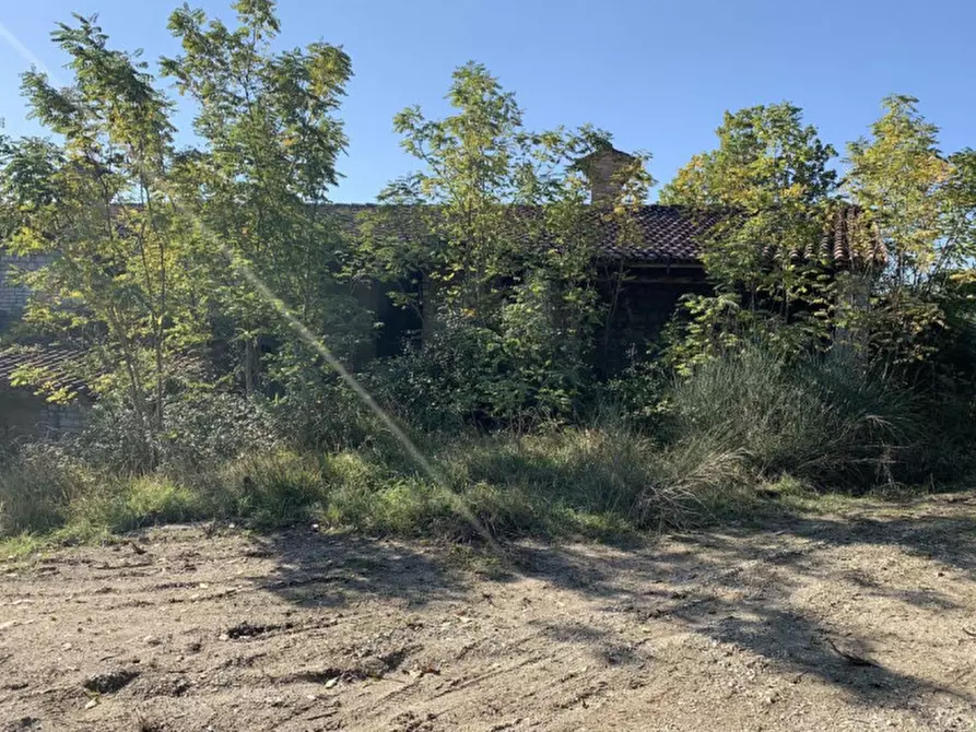 Immagine 10 di Terreno in vendita  in Strada Monte Peruzzo - vocabolo Cà Pierotto, N. snc a Cagli