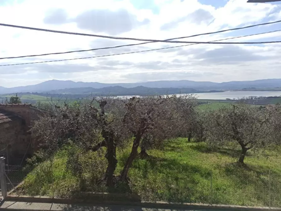 Immagine 13 di Appartamento in vendita  a Castiglione Del Lago