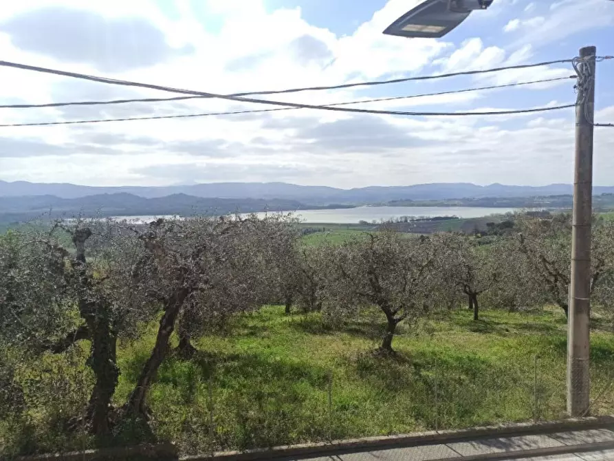 Immagine 14 di Appartamento in vendita  a Castiglione Del Lago