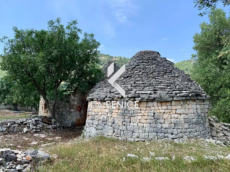 Immagine 18 di Rustico / casale in vendita  in c.da Gravinella a Fasano