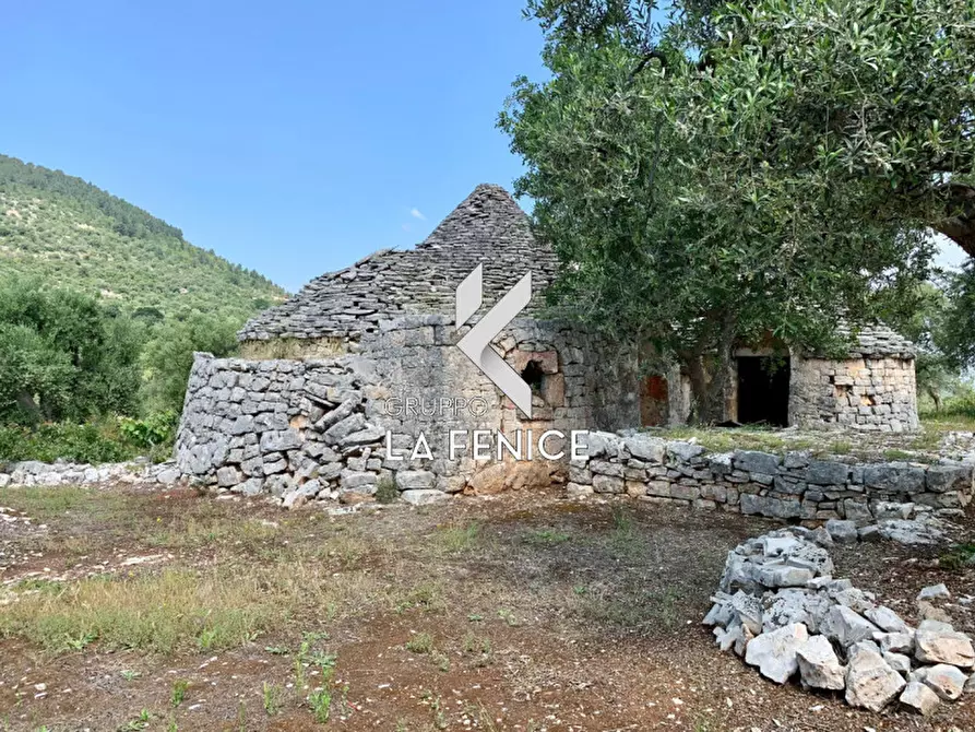 Immagine 20 di Rustico / casale in vendita  in c.da Gravinella a Fasano