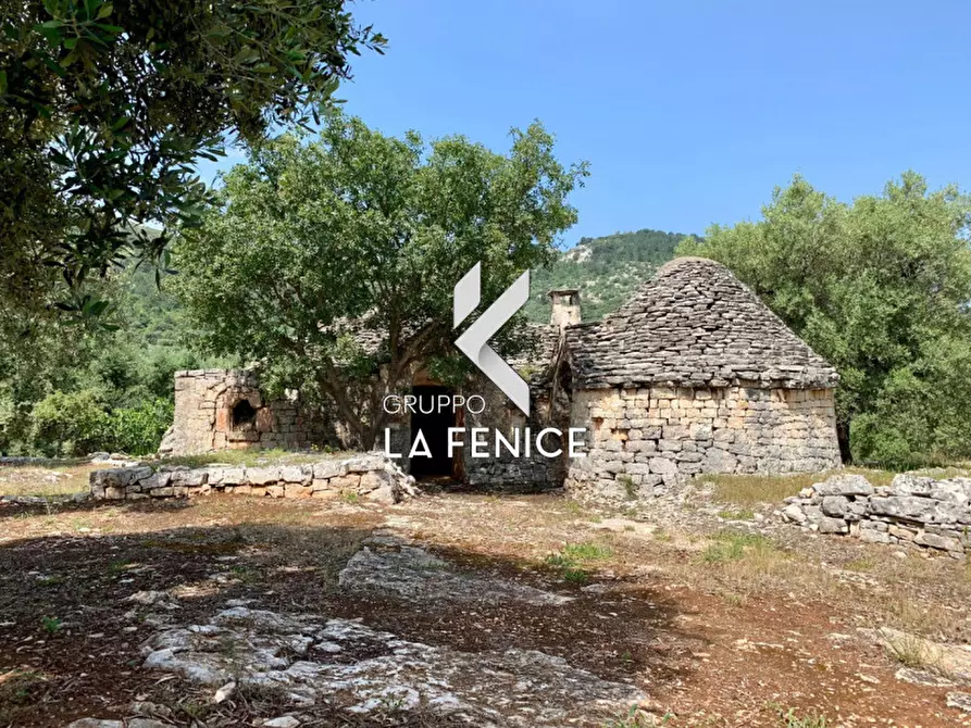 Immagine 22 di Rustico / casale in vendita  in c.da Gravinella a Fasano