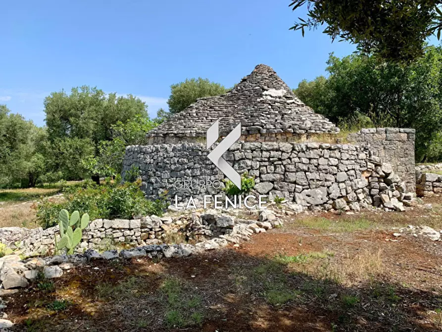 Immagine 27 di Rustico / casale in vendita  in c.da Gravinella a Fasano