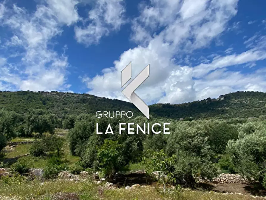 Immagine 31 di Rustico / casale in vendita  in c.da Gravinella a Fasano