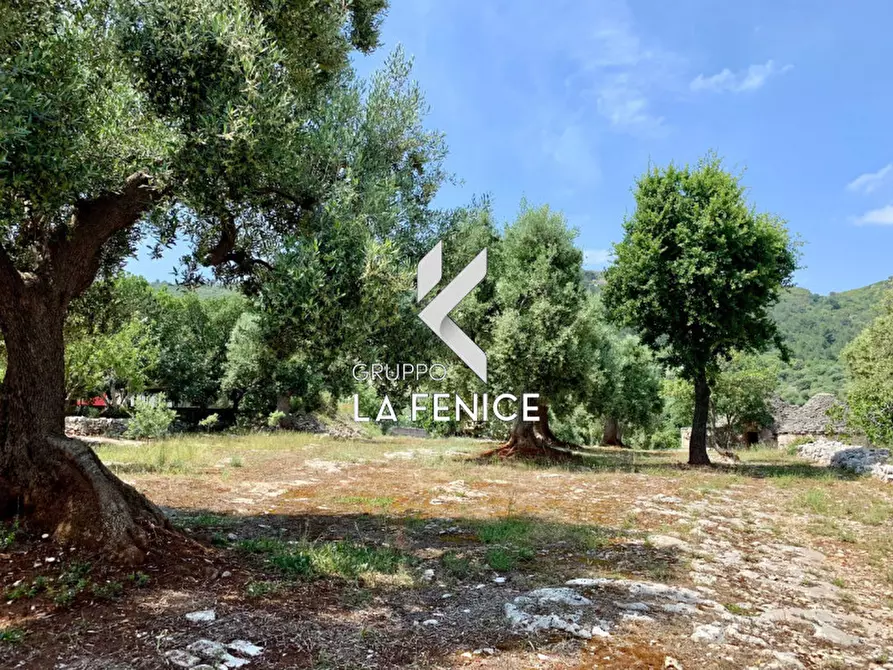 Immagine 32 di Rustico / casale in vendita  in c.da Gravinella a Fasano