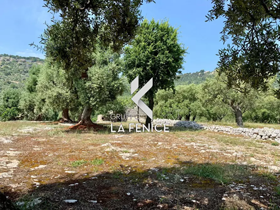 Immagine 33 di Rustico / casale in vendita  in c.da Gravinella a Fasano