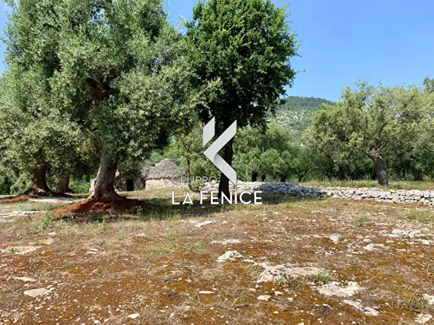 Immagine 34 di Rustico / casale in vendita  in c.da Gravinella a Fasano
