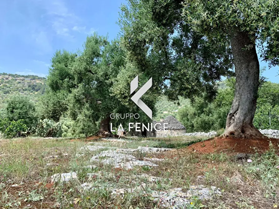 Immagine 35 di Rustico / casale in vendita  in c.da Gravinella a Fasano