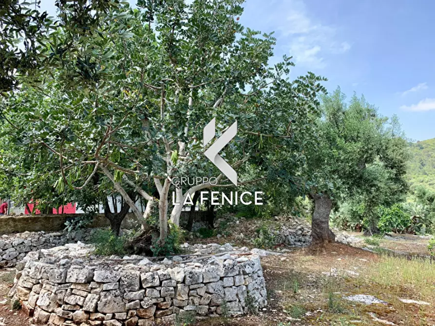 Immagine 36 di Rustico / casale in vendita  in c.da Gravinella a Fasano